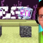 Testing Minecraft Block Facts That Actually Work - Gameplay, Kingdom Kids Zone, Minecraft - EYstreem