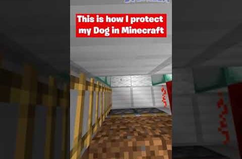 I bet your dog isn't this safe… #shorts #minecraft - Gameplay, Kingdom Kids Zone, Minecraft - EYstreem