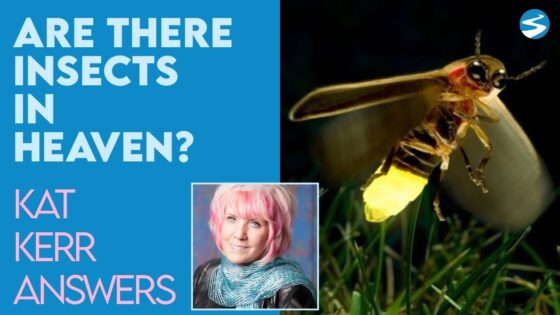 Kat Kerr: Are There Insects in Heaven? | July 28 2021 - Encounters, Heaven Trip, Testimonies - ElijahClips
