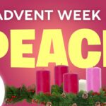 Witness21 Editor  2021 11 12