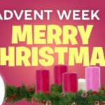 Witness21 Editor  2021 11 12