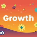 Witness21 Editor  2021 11 18