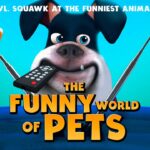 Witness21 Editor  2021 11 08