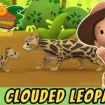 Witness21 Editor  2021 11 26