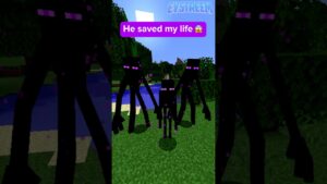 Always Make Friends With Enderman #shorts #minecraft - Gameplay, Kingdom Kids Zone, Minecraft - EYstreem