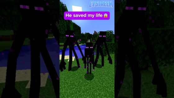 Always Make Friends With Enderman #shorts #minecraft - Gameplay, Kingdom Kids Zone, Minecraft - EYstreem