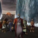 Witness21 Editor  2021 11 12