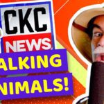 Witness21  2021 11 11