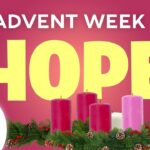 Witness21 Editor  2021 11 12