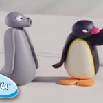 Pingu goes searching for Teddy | Pingu Official | Cartoons for Kids - Kids (0-4), Kingdom Kids Zone - Pingu - Official Channel