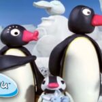Pingu And Family Visit The Ice Sculptures! 🧊 @Pingu – Official Channel - Kids (0-4), Kingdom Kids Zone - Pingu - Official Channel