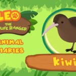 Witness21 Editor  2021 11 14