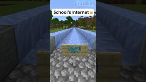 How fast internet speed is #shorts - Gameplay, Kingdom Kids Zone, Minecraft - EYstreem