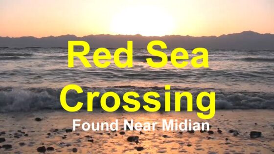 Red Sea Crossing Found, From DVD Revealing God's Treasure 2.0 - Biblical Archaeology, Documentaries, Movies & TV - ArkDiscovery-com