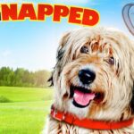 Witness21 Editor  2021 11 20