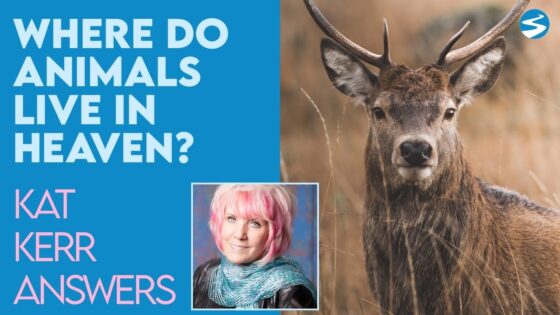 Kat Kerr: Where Do Animals Live And What Do They Do In Heaven? | June 16 2021 - Encounters, Heaven Trip, Testimonies - ElijahClips