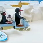 Pingu's Family Rides Around In The Snow! @Pingu – Official Channel | Cartoons for Kids - Kids (0-4), Kingdom Kids Zone - Pingu - Official Channel