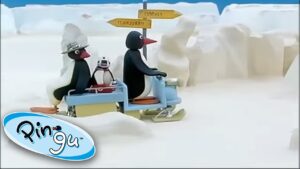 Pingu's Family Rides Around In The Snow! @Pingu – Official Channel | Cartoons for Kids - Kids (0-5), Kingdom Kids Zone - Pingu - Official Channel