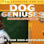 Witness21 Editor  2021 12 01