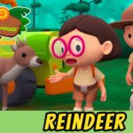 Witness21 Editor  2021 12 17