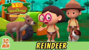 Witness21 Editor  2021 12 17