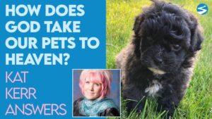 Kat Kerr: How Does God Transport Our Pets to Heaven After They Pass Away? | Aug 4 2021 - Encounters, Heaven Trip, Testimonies - ElijahClips