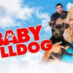 Witness21 Editor  2021 12 01