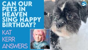 Kat Kerr: Can Our Pets Sing Happy Birthday To Us In Heaven? | Sept 1 2021 - Encounters, Heaven Trip, Testimonies - ElijahClips