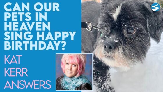 Kat Kerr: Can Our Pets Sing Happy Birthday To Us In Heaven? | Sept 1 2021 - Encounters, Heaven Trip, Testimonies - ElijahClips