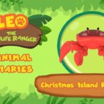 Witness21 Editor  2021 12 25