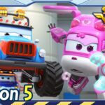 Witness21 Editor  2021 12 04