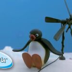 Pingu And Pinga Help Around The House! @Pingu βοΈ Compilation - Kids (0-4), Kingdom Kids Zone - Pingu - Official Channel