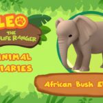 Witness21 Editor  2021 12 04