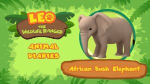 Witness21 Editor  2021 12 04