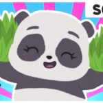 Meet: Miranda the Panda | Fun Dance Nursery Rhymes for Kids | Toon Bops - Kids TV Series, Kingdom Kids Zone - Treehouse Direct