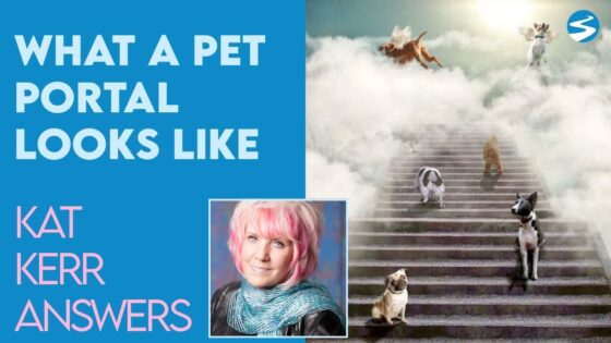 Kat Kerr Shows A Picture of A Pet Portal | Nov 24 2021 - Encounters, Heaven Trip, Testimonies - ElijahClips