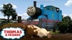 Thomas And The Pigs | S13 E7 | Thomas & Friends | Full Episode | Cartoons for Kids - Kids TV Series, Kingdom Kids Zone - Thomas & Friends