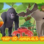 Witness21  2022 01 28