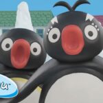 Pingu And The Winter Ski Competition! @Pingu - Kids (0-4), Kingdom Kids Zone - Pingu - Official Channel