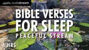 PEACEFUL STREAM 4K | 100+ Bible Verses For Sleep with Relaxing Nature Sounds - Hope & Healing, Meditations - SOAKSTREAM - Healing Scriptures