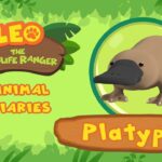 Witness21 Editor  2022 01 15