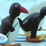 Pingu And His Family Go Skiing! ❄️ @Pingu ❄️ Compilation - Kids (0-4), Kingdom Kids Zone - Pingu - Official Channel