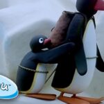 Pingu And His Dad Go On An Icy Adventure! @Pingu Cartoons For Kids - Kids (0-4), Kingdom Kids Zone - Pingu - Official Channel