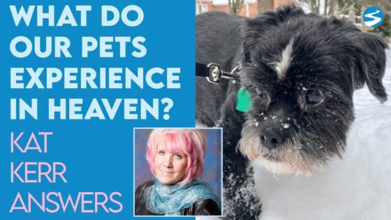 Kat Kerr: What Do Our Pets Experience in Heaven? | Feb 9 2022 - Encounters, Heaven Trip, Testimonies - ElijahClips