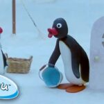 Pingu's Best Of February Moments @Pingu Cartoons For Kids - Kids (0-4), Kingdom Kids Zone - Pingu - Official Channel