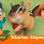 Witness21  2022 03 25