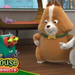 Agent Binky: Pets of the Universe | The Pet - Kids TV Series, Kingdom Kids Zone - Treehouse Direct