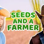 Witness21 Editor  2022 03 21