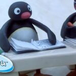 Pingu Goes To School! @Pingu Cartoons For Kids - Kids (0-4), Kingdom Kids Zone - Pingu - Official Channel