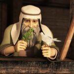 Witness21 Editor  2022 03 10